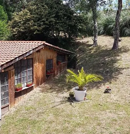 F2 Confort **** Apartamento *