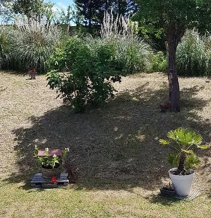 F2 Confort **** Apartment